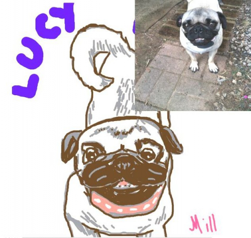 Lucy the Pug pet portrait