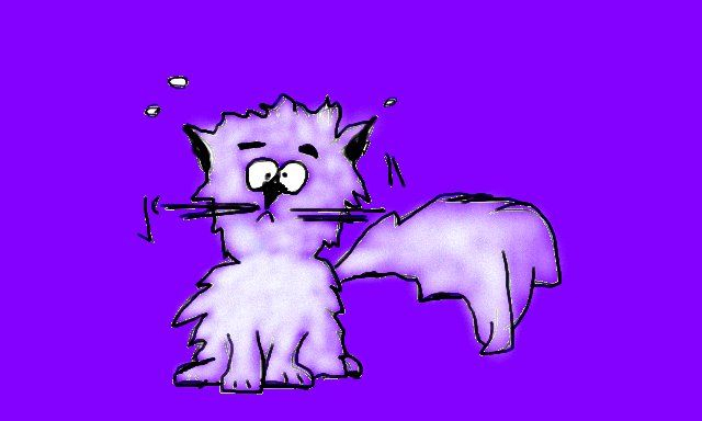 Spooked cat on purple background