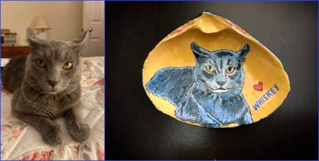 Russian Blue Cat portrait on shell