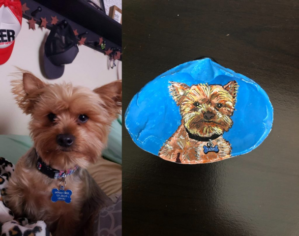 Thor the Yorkshire Terrier pet portrait