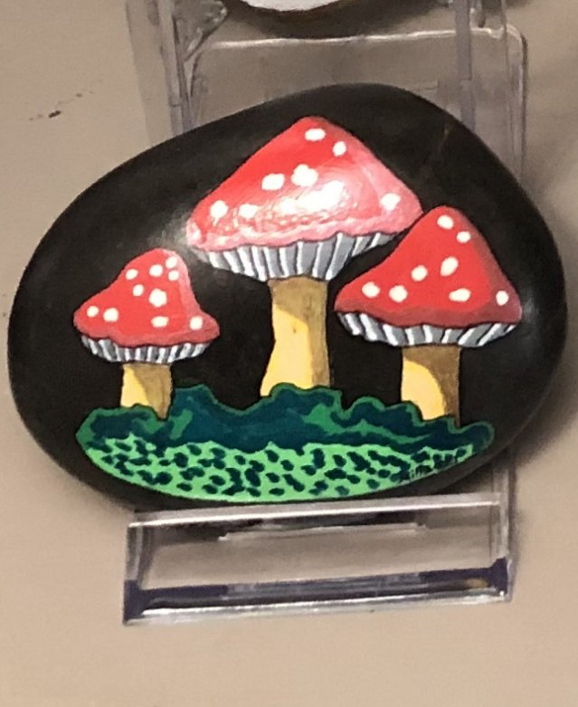 Mushrooms painted on a rock
