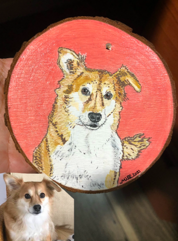 Tan dog portrait