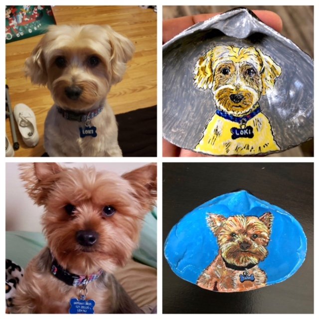 Yorkie dog portraits painted on seashells