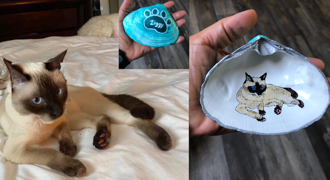 Siamese cat portrait painted on a shell